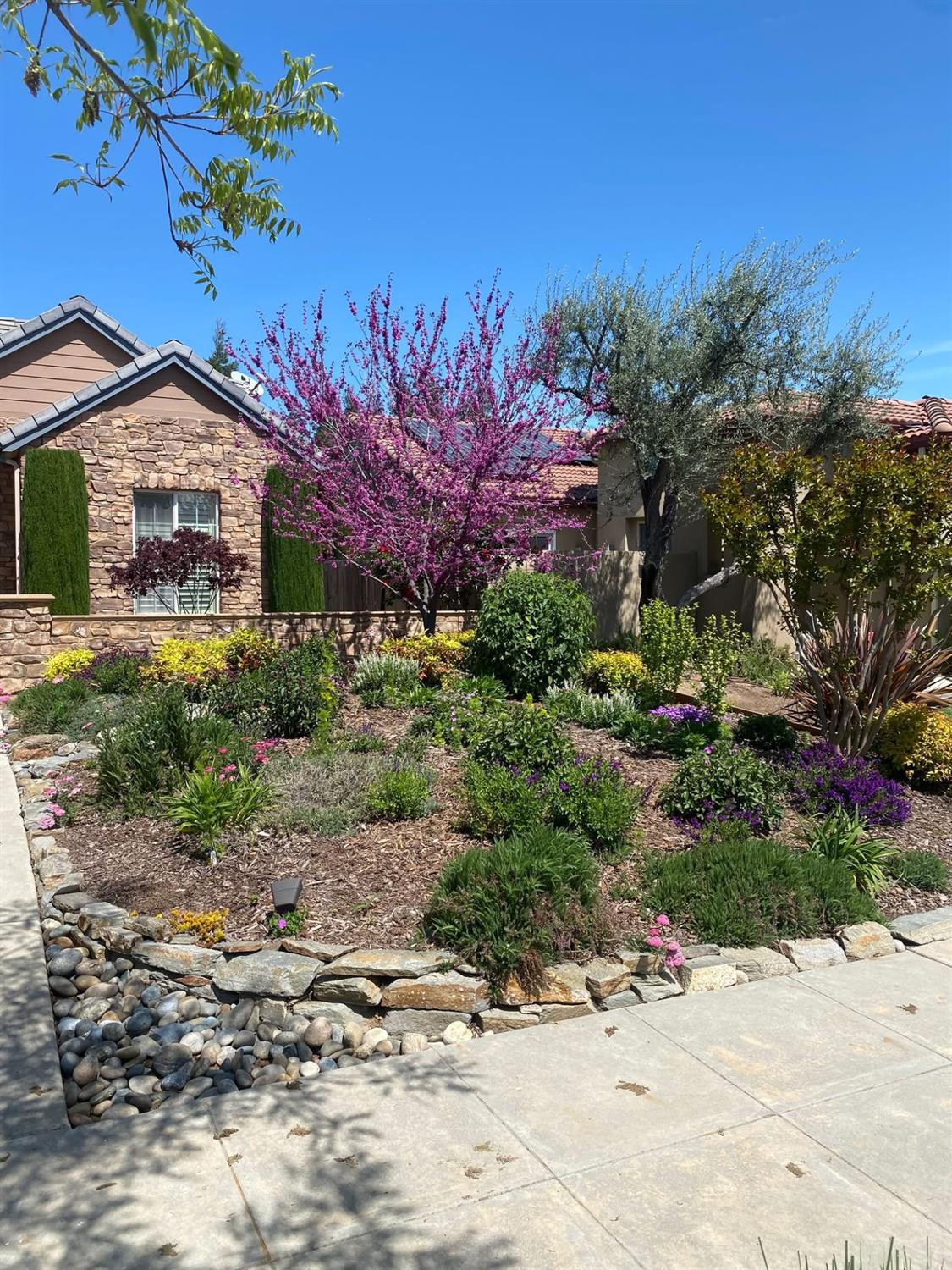 3725 Everglade Ave, Clovis, CA 93619