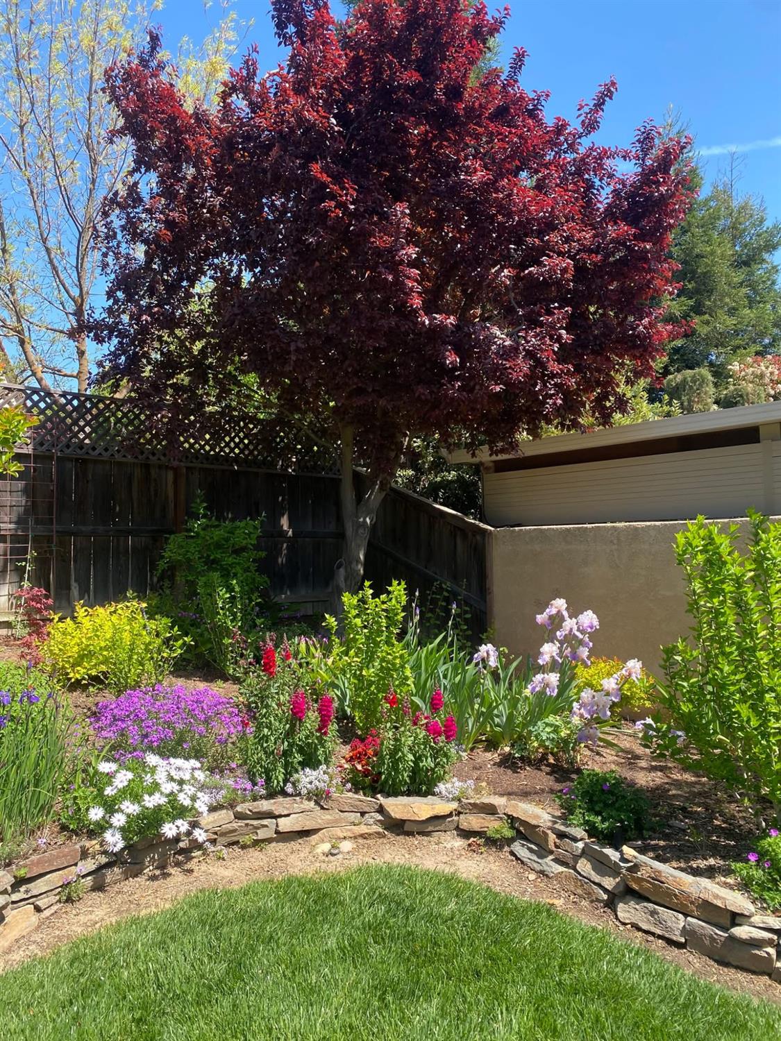 3725 Everglade Ave, Clovis, CA 93619