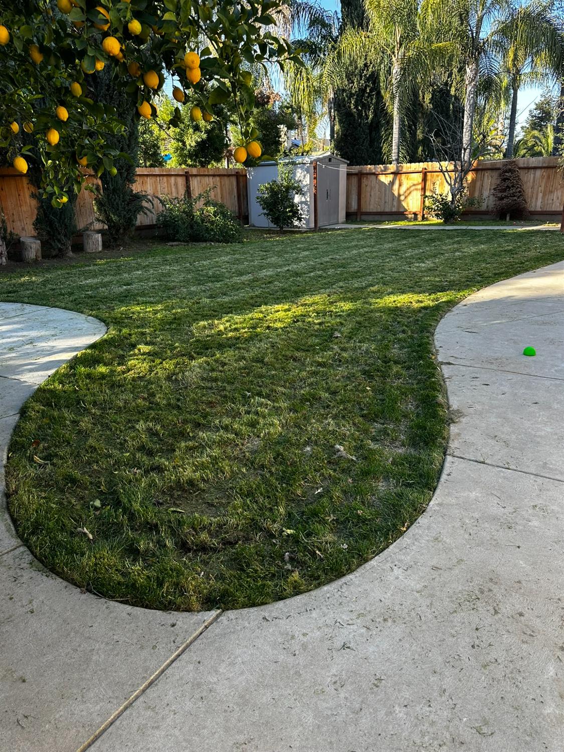 62 N Helm Ave, Clovis, CA 93612