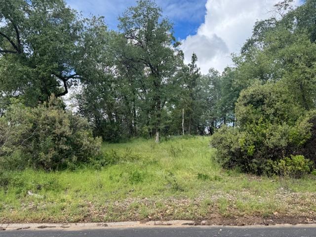 0 0 Wintergreen, North Fork, CA 93643