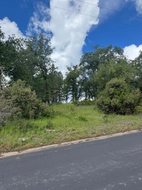 0 0 Wintergreen, North Fork, CA 93643